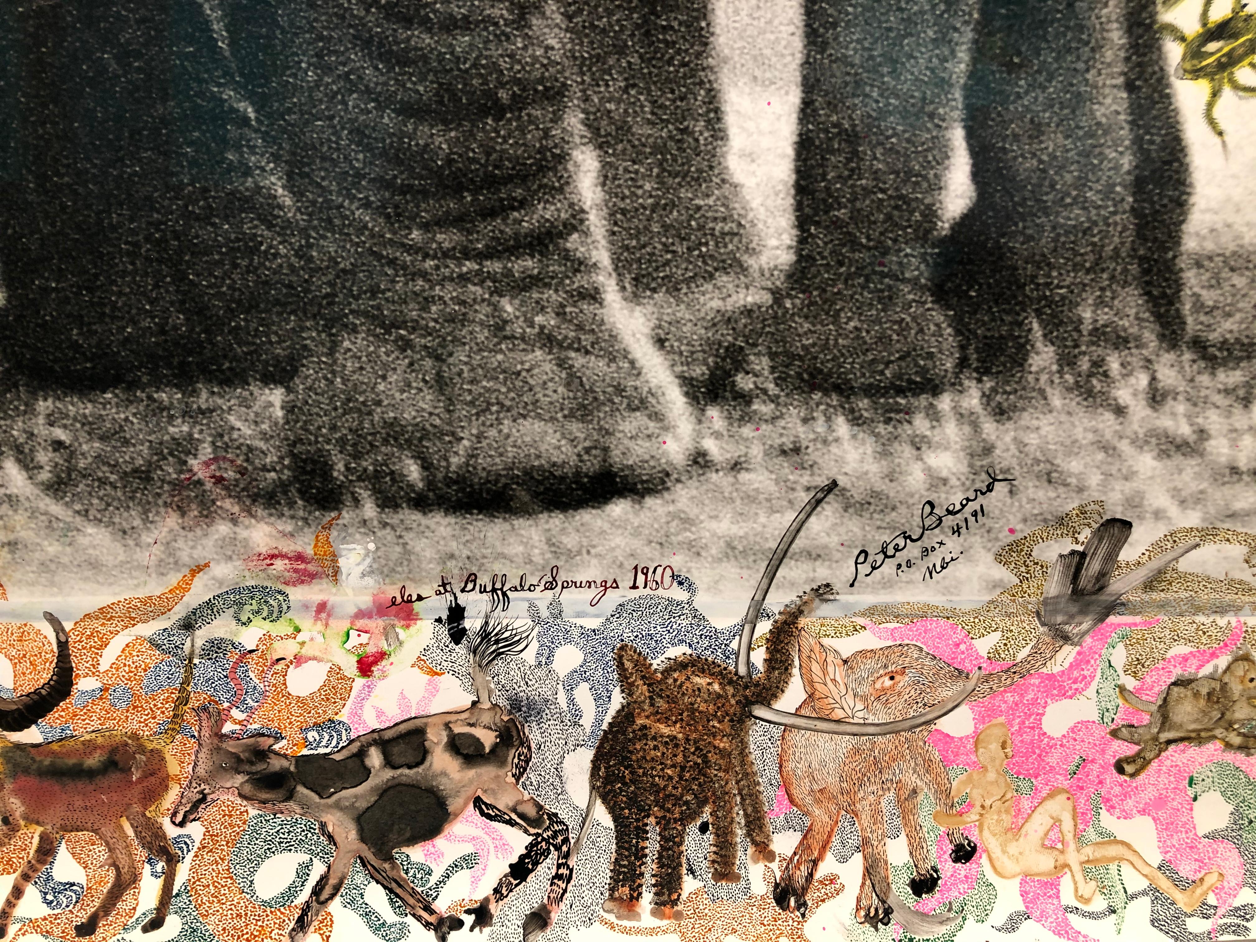 Eles at Buffalo Springs – Tier, Landschaftsfotografie, Peter Beard 7