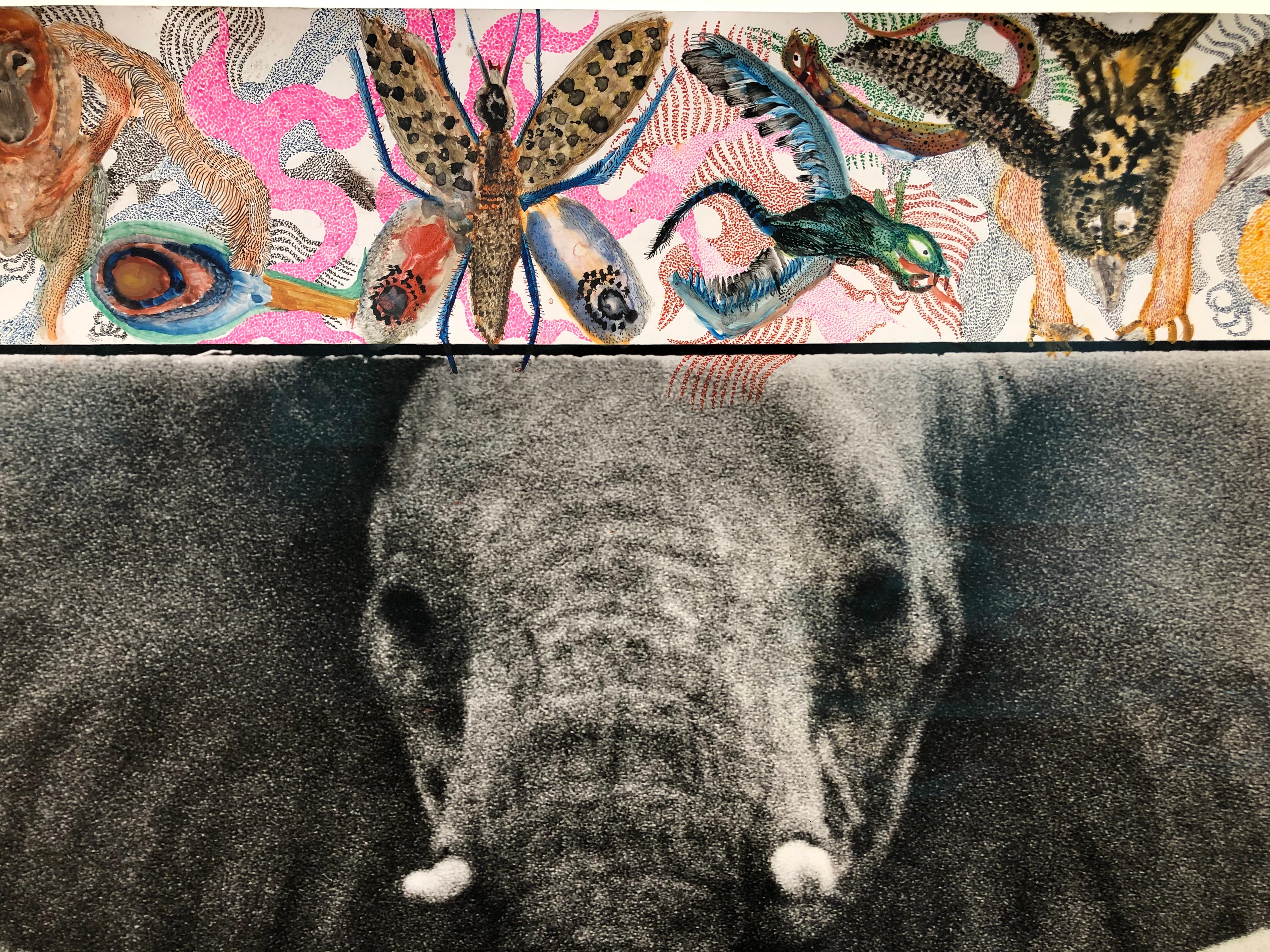 Eles at Buffalo Springs – Tier, Landschaftsfotografie, Peter Beard 8