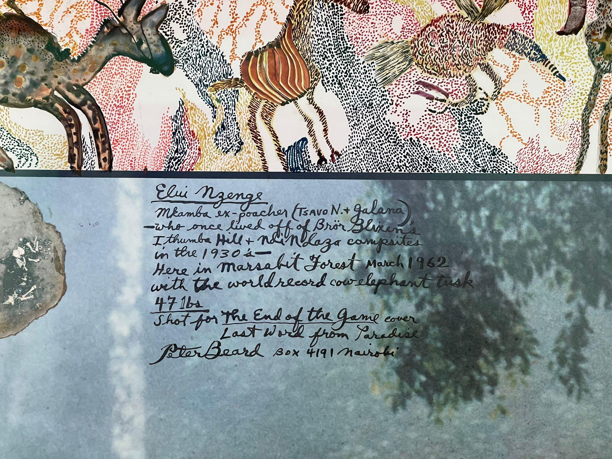 Elui mit Weltrekord-Stoßzahn einer Elefantenkuh, 47 Pfund, Marsabit Forest, Kenia - Kunst (Zeitgenössisch), Art, von Peter Beard