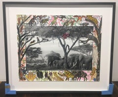 Gardeners of Eden - Contemporary, Animal, Landscape Photography, Peter Beard 