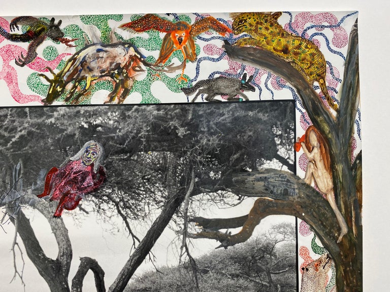 Gardeners of Eden - Contemporary, Animal, Landscape Photography, Peter Beard  For Sale 6