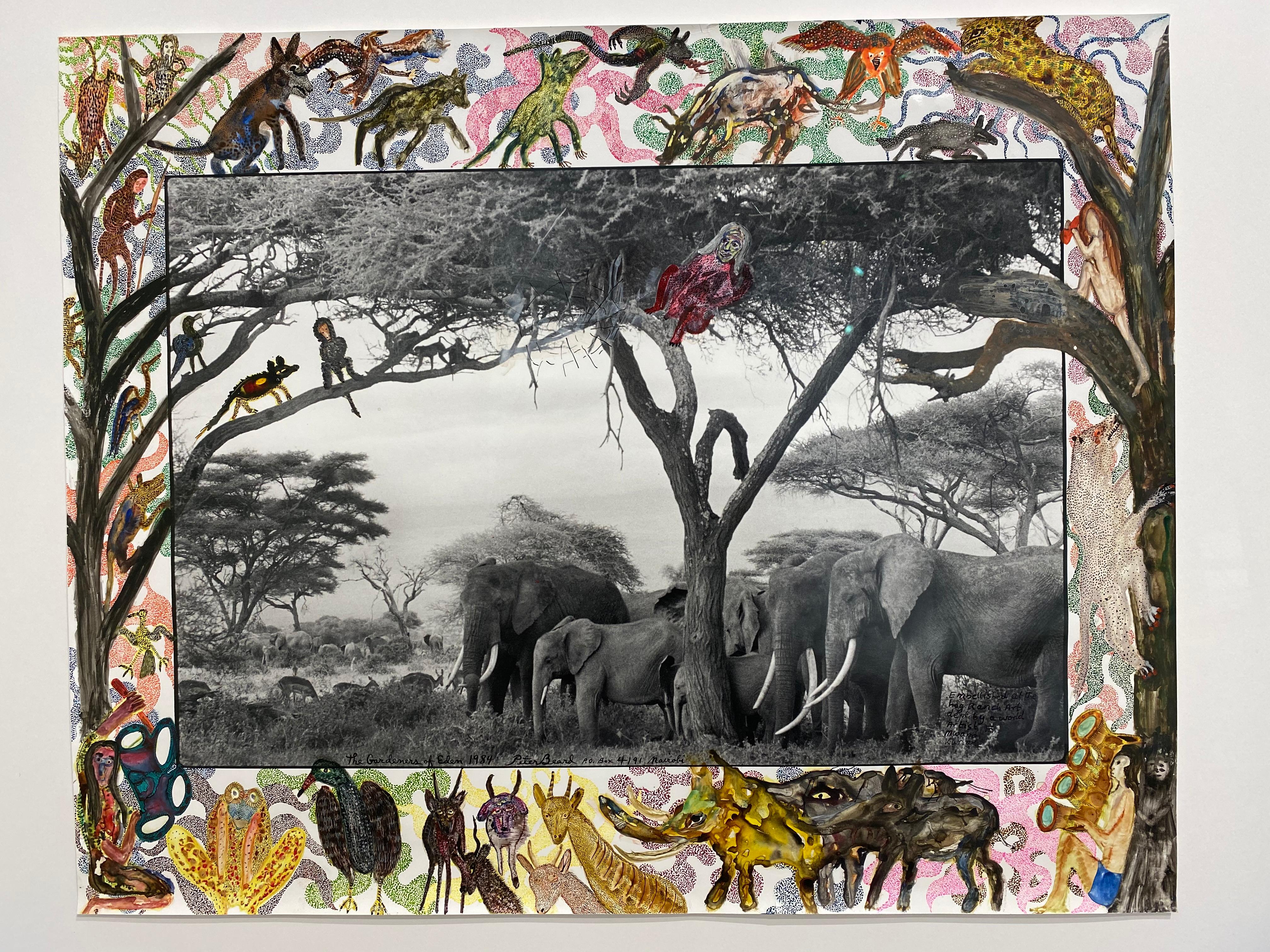 Gardeners of Eden - Contemporary, Animal, Landscape Photography, Peter Beard  5