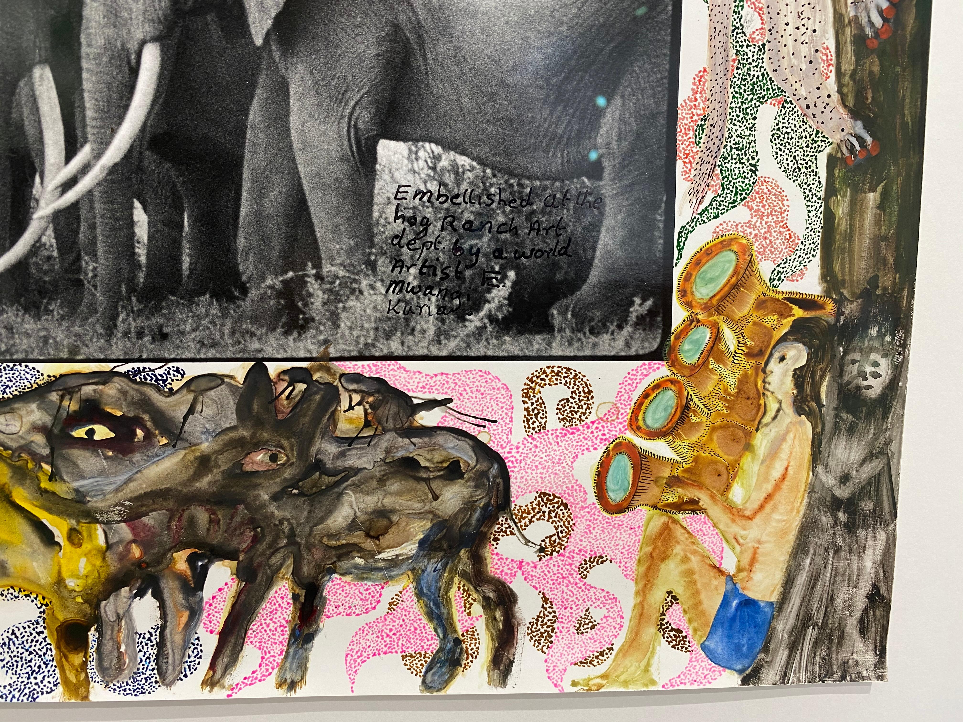 Gardeners of Eden - Contemporary, Animal, Landscape Photography, Peter Beard  6