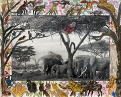 Gardeners of Eden - Contemporary, Animal, Landscape Photography, Peter Beard 