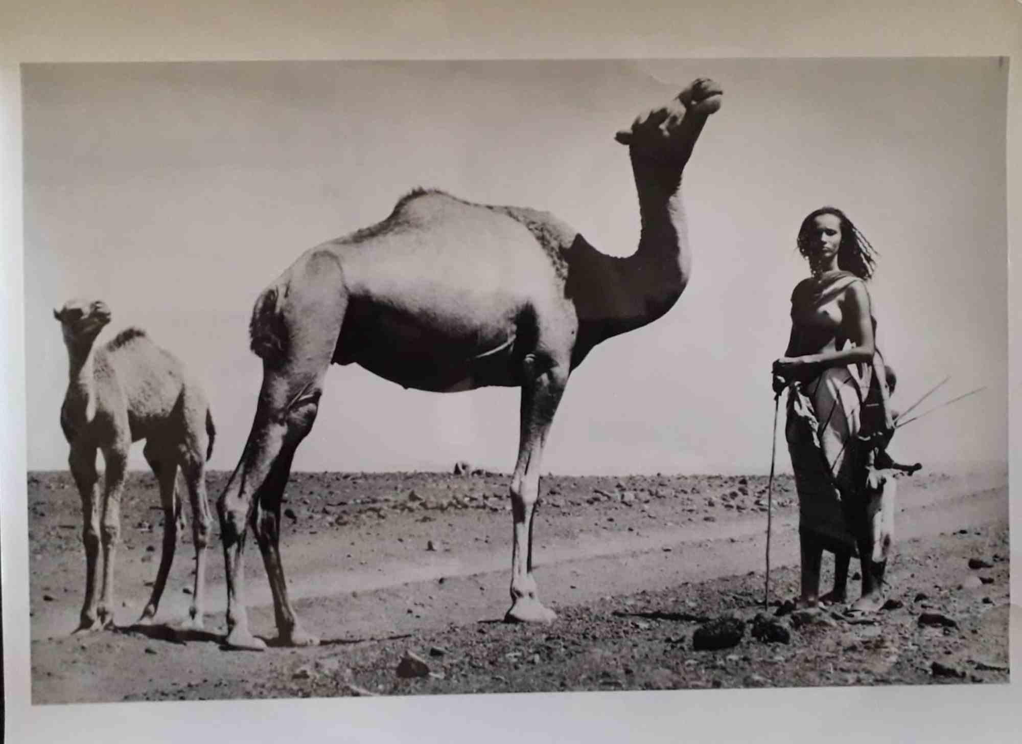 Vintage s/w Fotografie von Peter Beard aus dem Jahr 1988.

Copyright und Provenienz: Playboy.

Playboy-Stempel auf der Rückseite.

Erstklassiger Zustand.