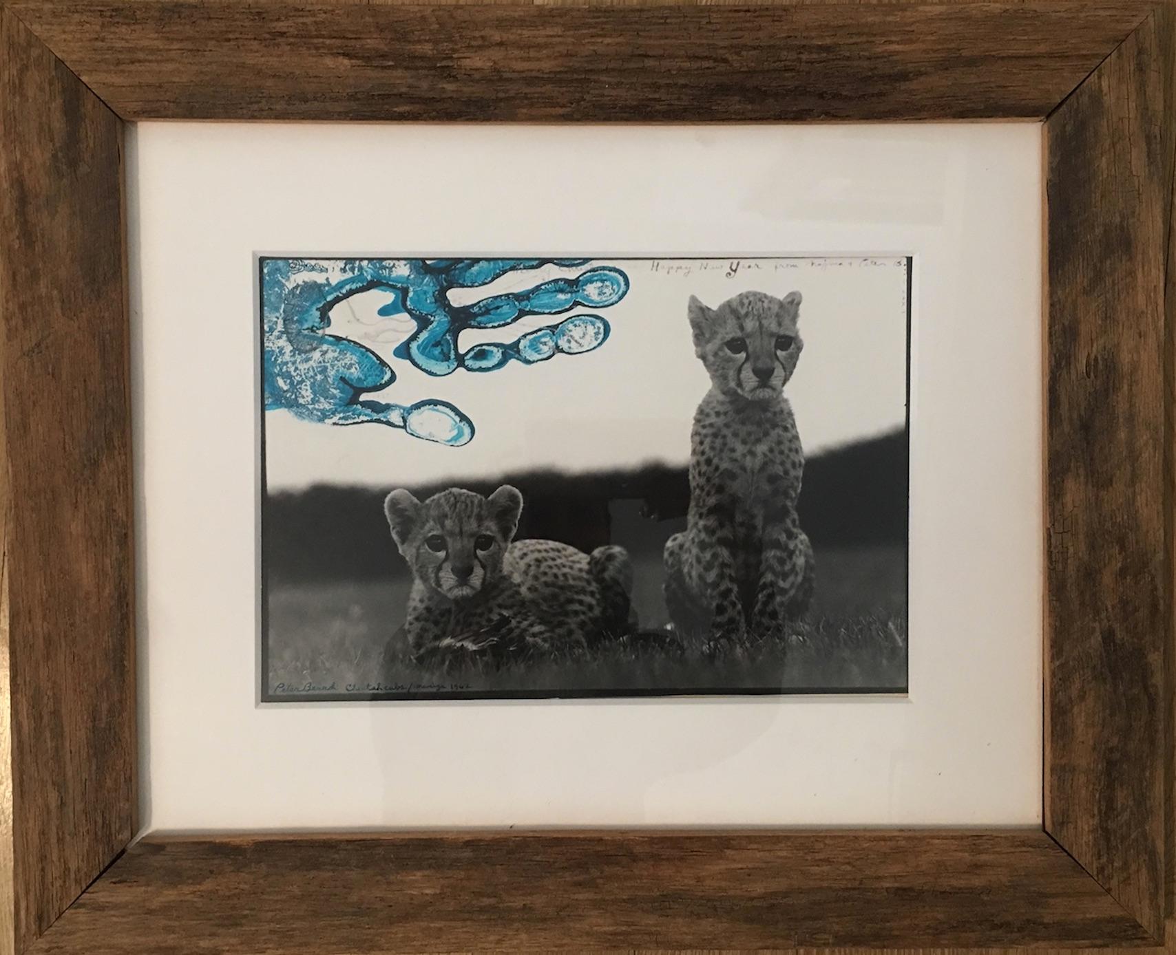 Peter Beard Black and White Photograph - Orphaned Cheetah Cubs, National Park, Kenya, for The End of the Game