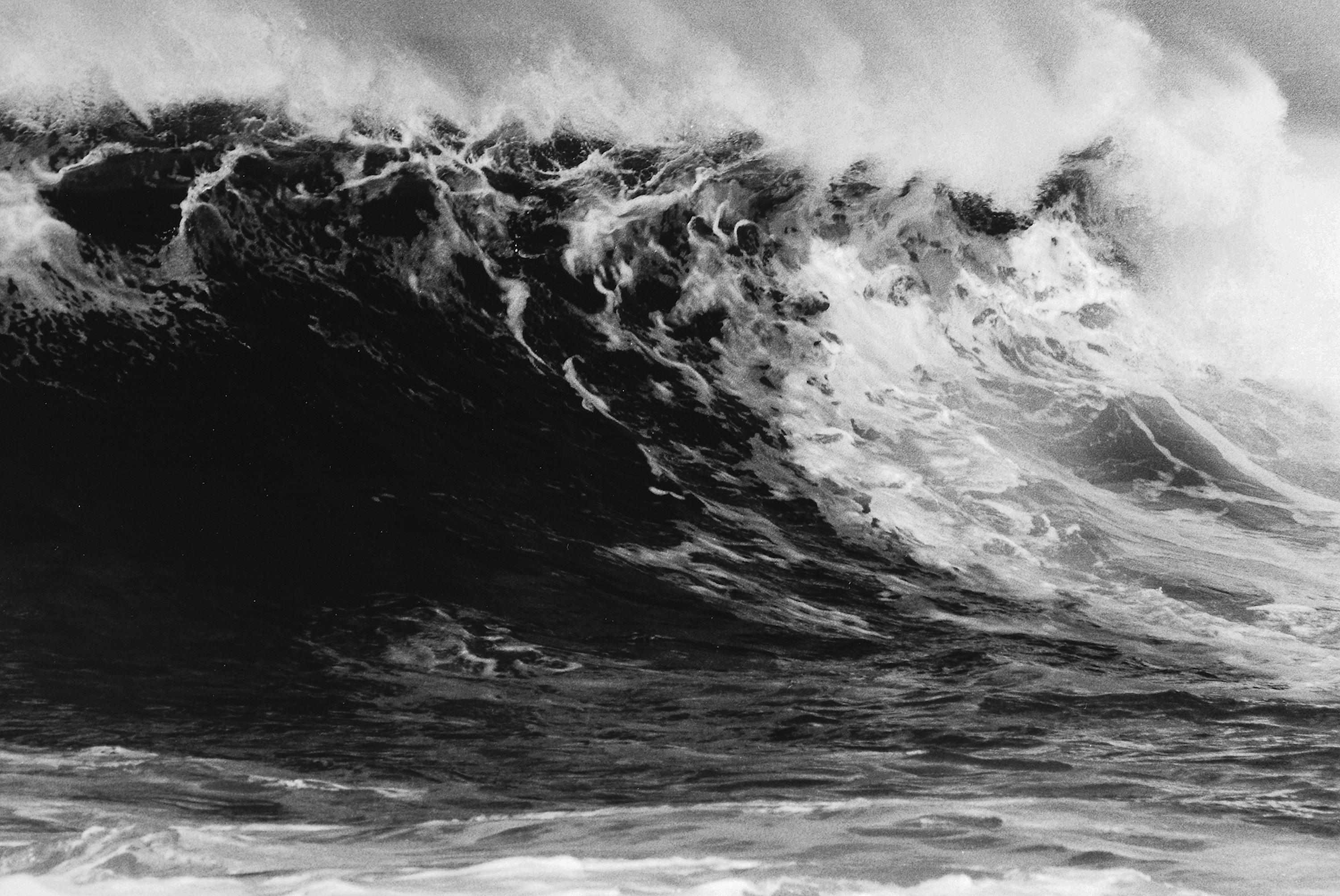 Palomino Wave, Carmel, Kalifornien, U.S.A. Anthony Friedkin, Ozean, Wasser, Welle