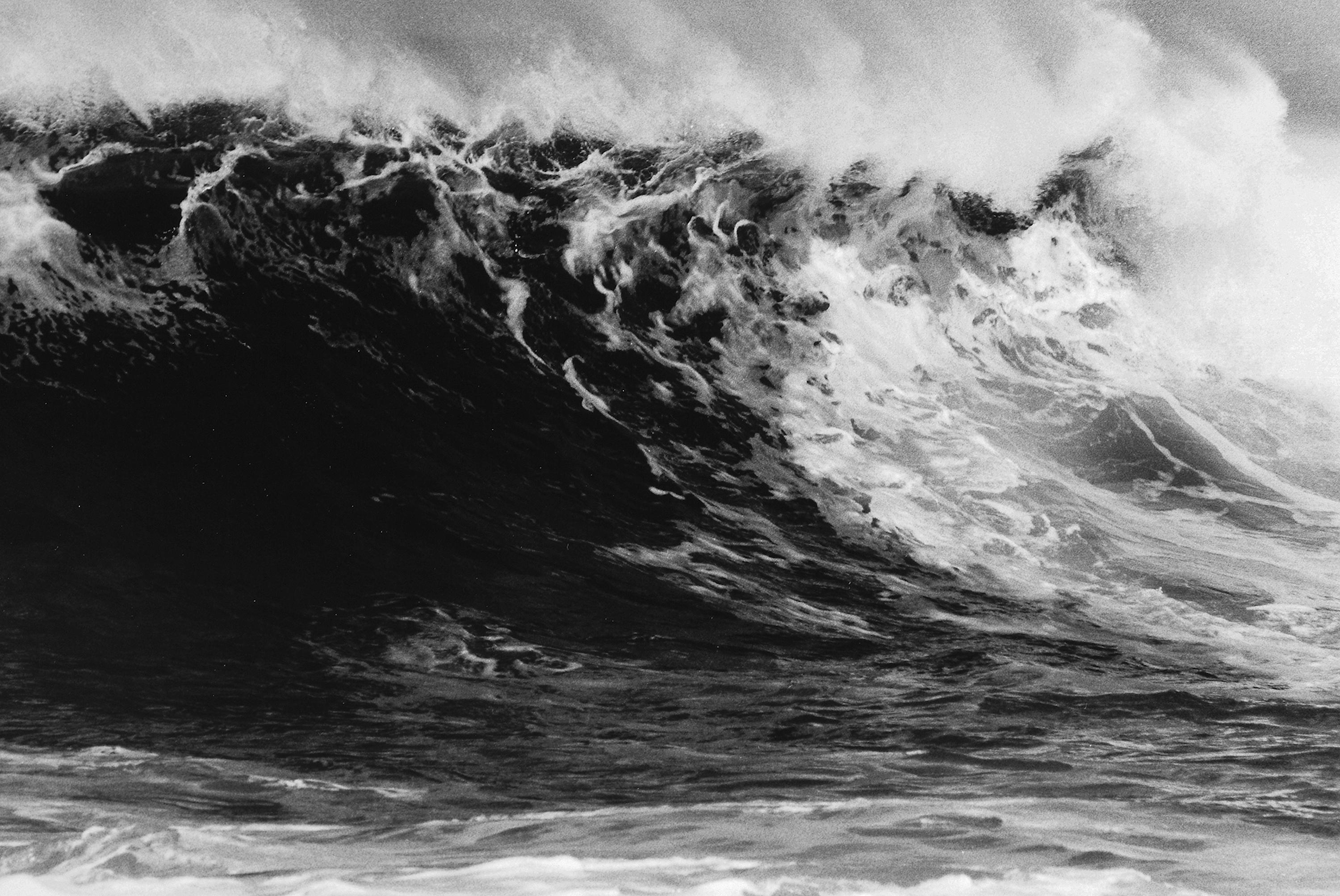 Anthony FRIEDKIN (*1949, Estados Unidos)
Palomino Wave, Carmel, California, EE.UU., 2004
Gelatina de plata, impresión posterior
40,6 x 50,8 cm (16 x 20 pulg.)
Edición de 25, Ed. nº 8/25
Sólo impresión

Nacido en 1949 en Los Ángeles (EE.UU.),