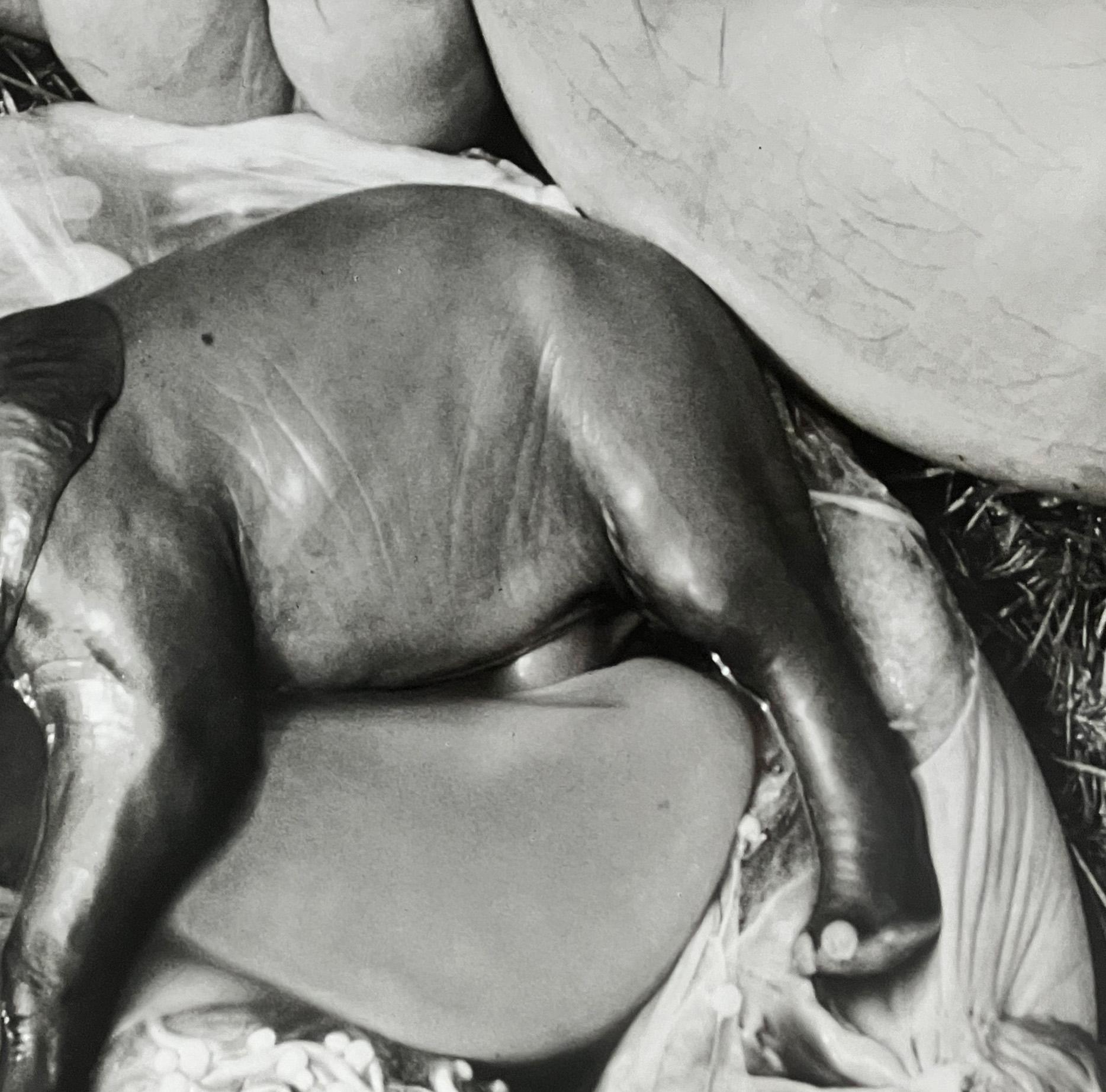 Peter Beard - Embrione di elefante, Uganda, Stampa su platino - Non firmato in vendita 3
