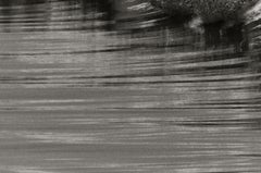 Silver Curl, Hermosa Beach, California, U.S.A – Anthony Friedkin, Ocean, Wave