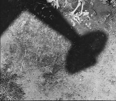 Peter Beard - The Death of Elephants in Tsavo Park, Platinum Print/Unsigned
