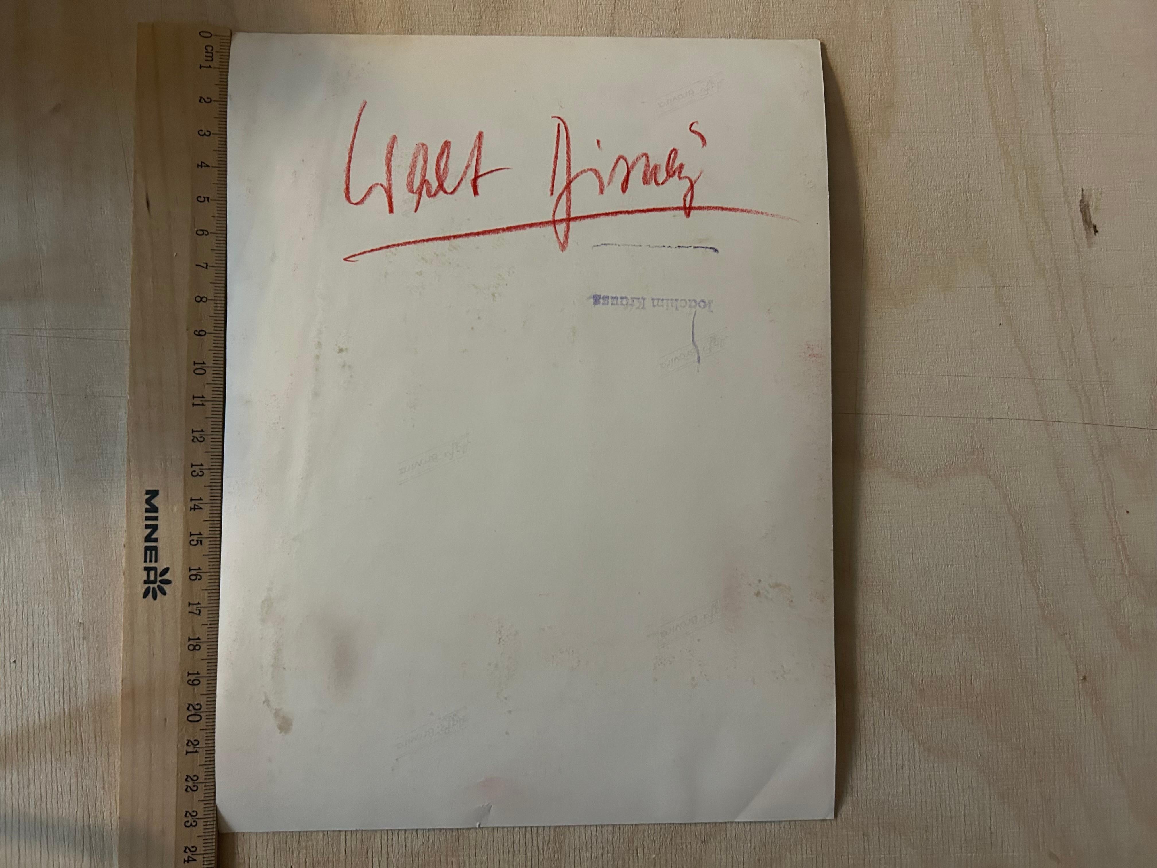 Walter „Walt“ Disney  - Convolute of 7 Original Press Fotos aus der Presse im Angebot 2