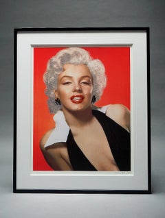 Peter Blake:: Marilyn - Poussière à diamants:: (2010)