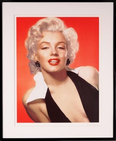 Screen Portrait Prints