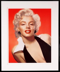 Screen Portrait Prints