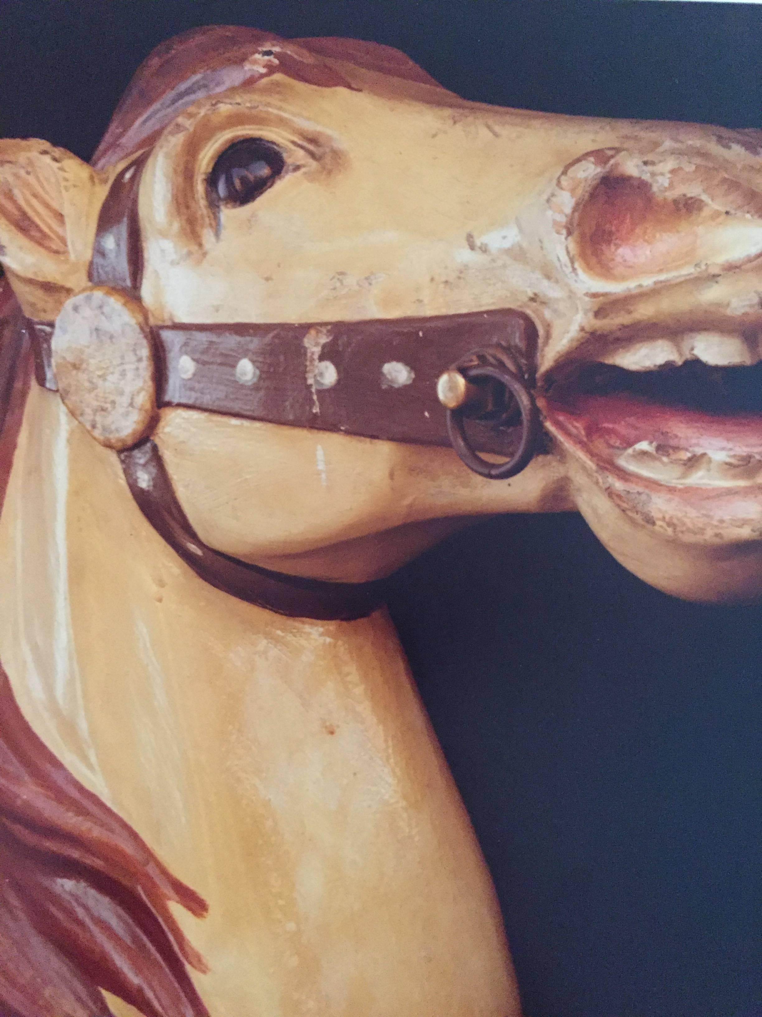 Carousel Horse - Print by Peter Boettcher