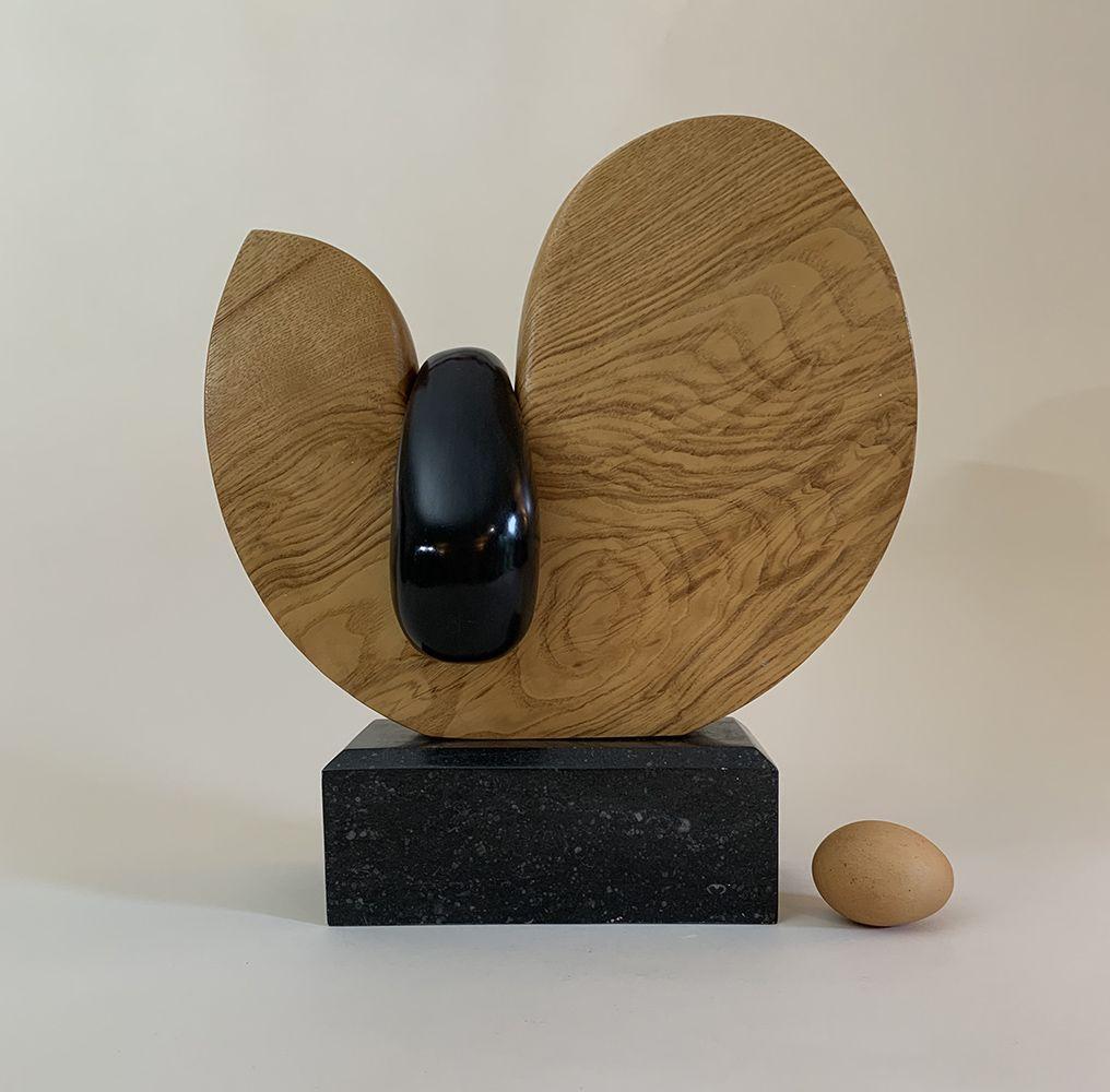 Ash wood and slate on Kilkenny limestone , 35 cm × 15 cm × 32 cm.
Unique work delivered with a certificate of authenticity. 
Peter Brooke-Ball's works surprise with their humour, simplicity and sensuality. As he himself states, the desire is to