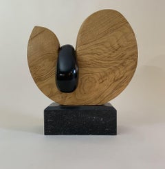 Juice by Peter Brooke-Ball - Wood and Stone Sculpture, abstract