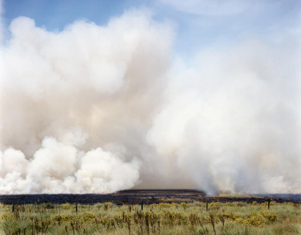 Peter Brown Landscape Photograph - Controlled Burn, High Island, Texas
