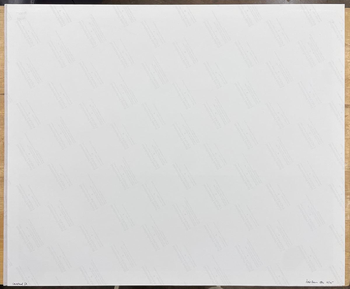 Levelland, TX - Plowed field, dirt, farm, landscape, minimal, horizon For Sale 2