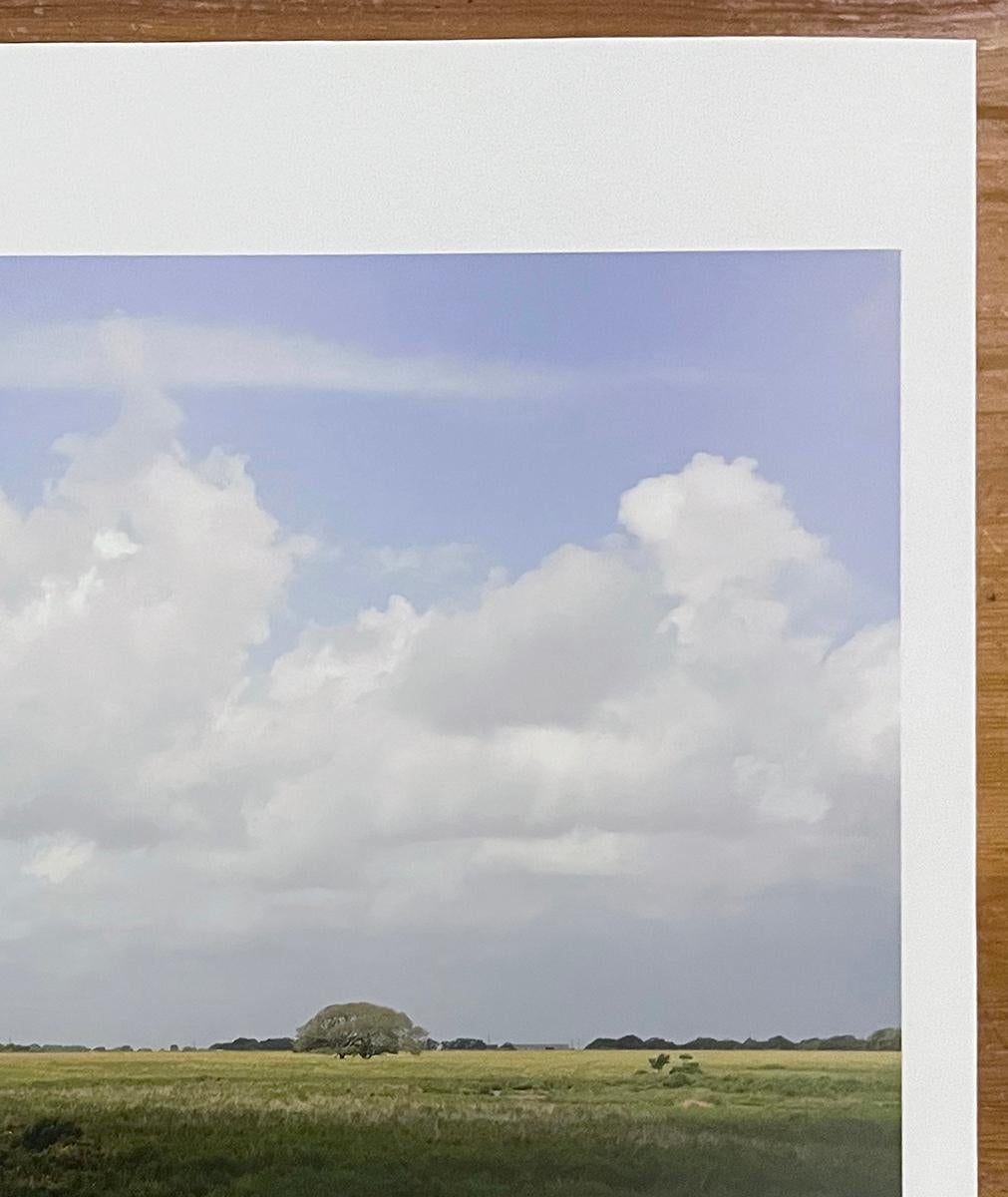 Südtexas: Cash Creek und Küsten prairie, Matagorda County von Peter Brown im Angebot 7
