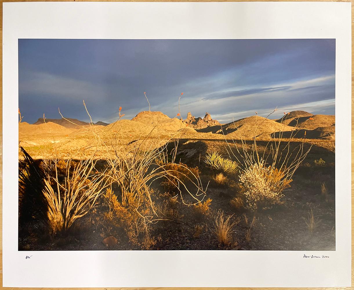 Oeste de Texas: Ocotillo en Flor, Picos Orejas de Mula, Parque Nacional Big Bend - Photograph Contemporáneo de Peter Brown