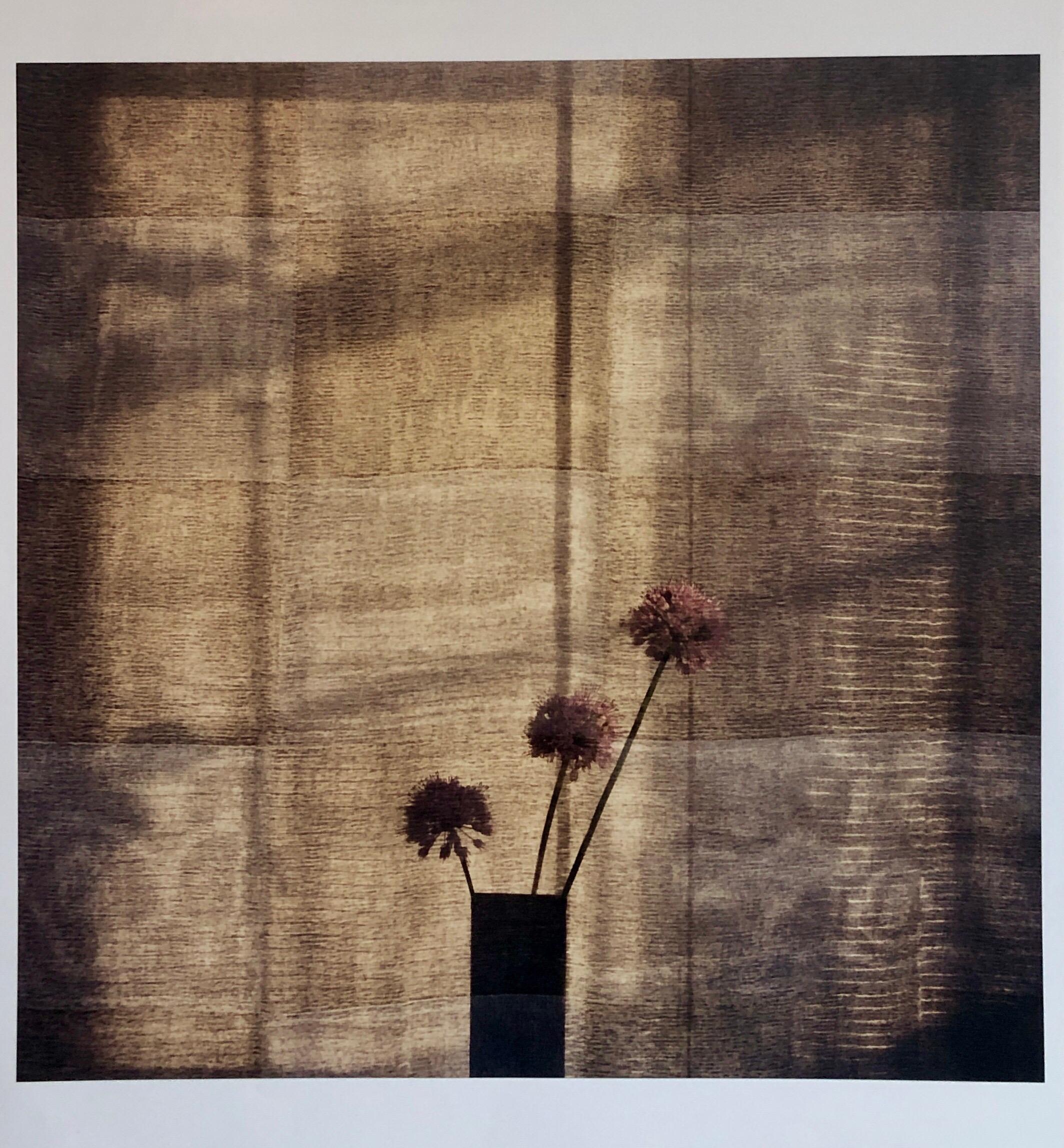 Peter C. Jones  Color Photograph –  Checkered Alliums, Großformat-Foto 24X20 Farbfotografie Strandhaus RI