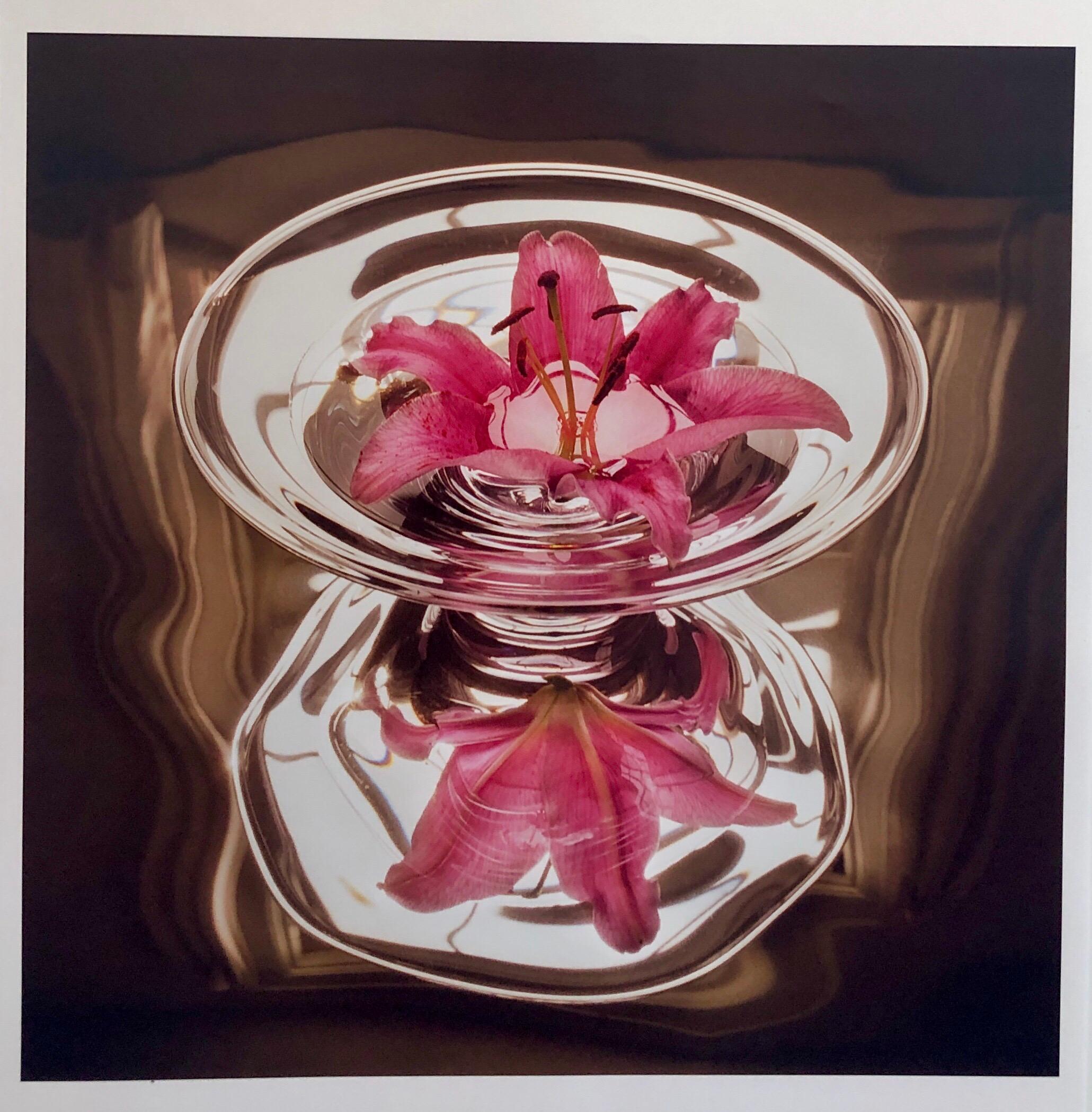 Peter C. Jones  Still-Life Photograph - Floating Lily, Large Format Photo 24X20 Color Photograph Beach House