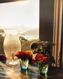 Last Light Nasturtiums, Large Format Photo 24X20 Color Photograph Beach House RI
