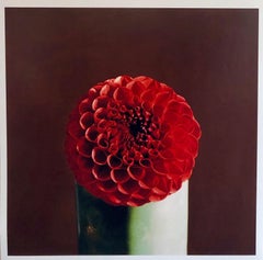 Fiore di dalia rossa foto di grande formato 24X20 fotografia a colori Beach House RI