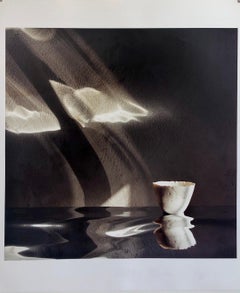 Snipes Vessel, Ceramic Large Format Photo 24X20 Color Photograph Beach House