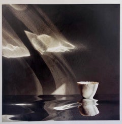 Snipes Vessel, Ceramic Large Format Photo 24X20 Color Photograph Beach House