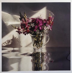 Sweet Williams, Large Format Flowers Photo 24X20 Color Photograph Beach House