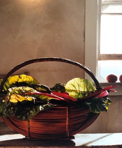 Swiss Chard, Kitchen, Large Format Photo 24X20 Color Photograph Beach House RI