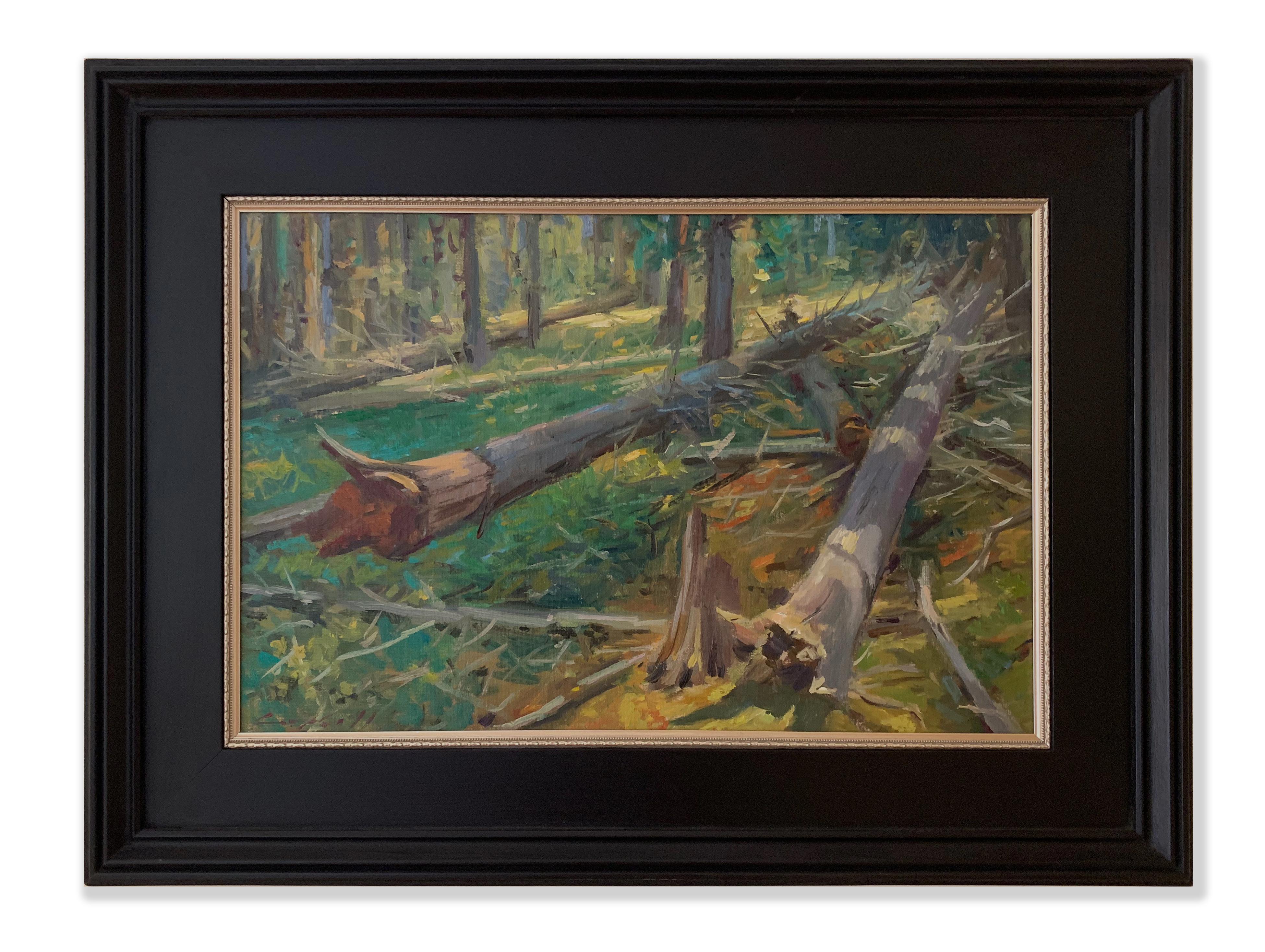 Forest Floor (light, shadow, lush undergrowth, peaceful) - Painting by Peter Campbell