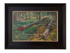 Forest Floor (light, shadow, lush undergrowth, peaceful)