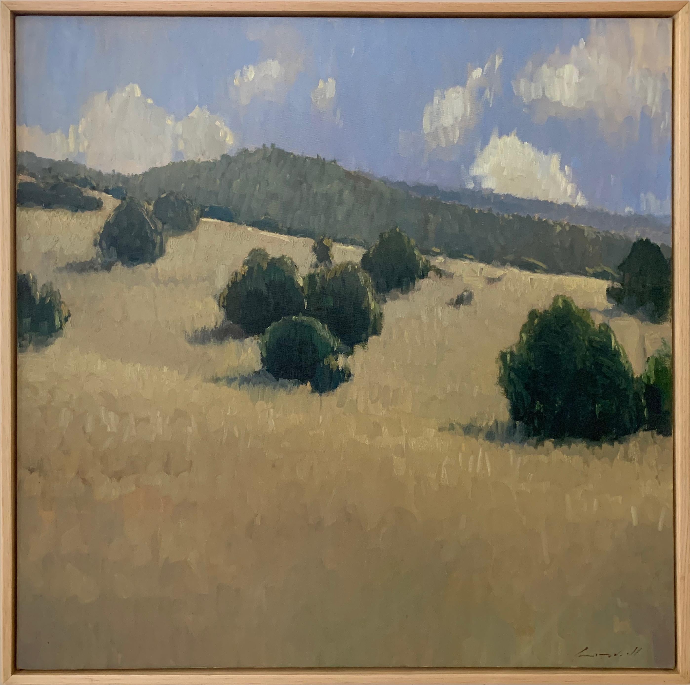 Summer Hillside (lush pinions, golden grasses, Colorado sunshine) - Brown Landscape Painting by Peter Campbell