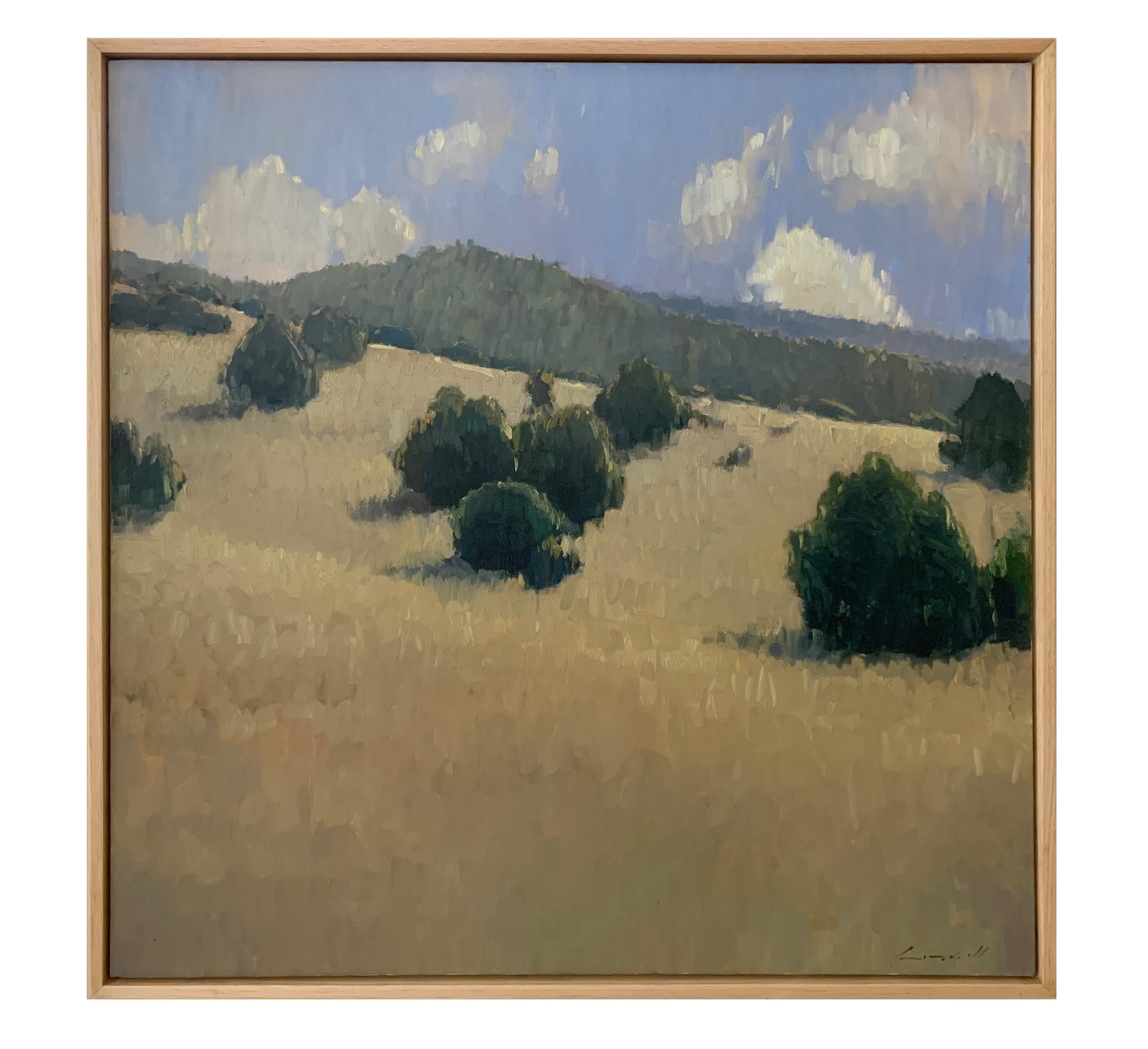Summer Hillside (lush pinions, golden grasses, Colorado sunshine) - Painting by Peter Campbell