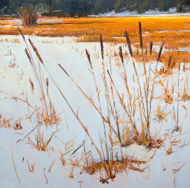 Peter Campbell Winter Grasses, Painting For Sale at 1stdibs