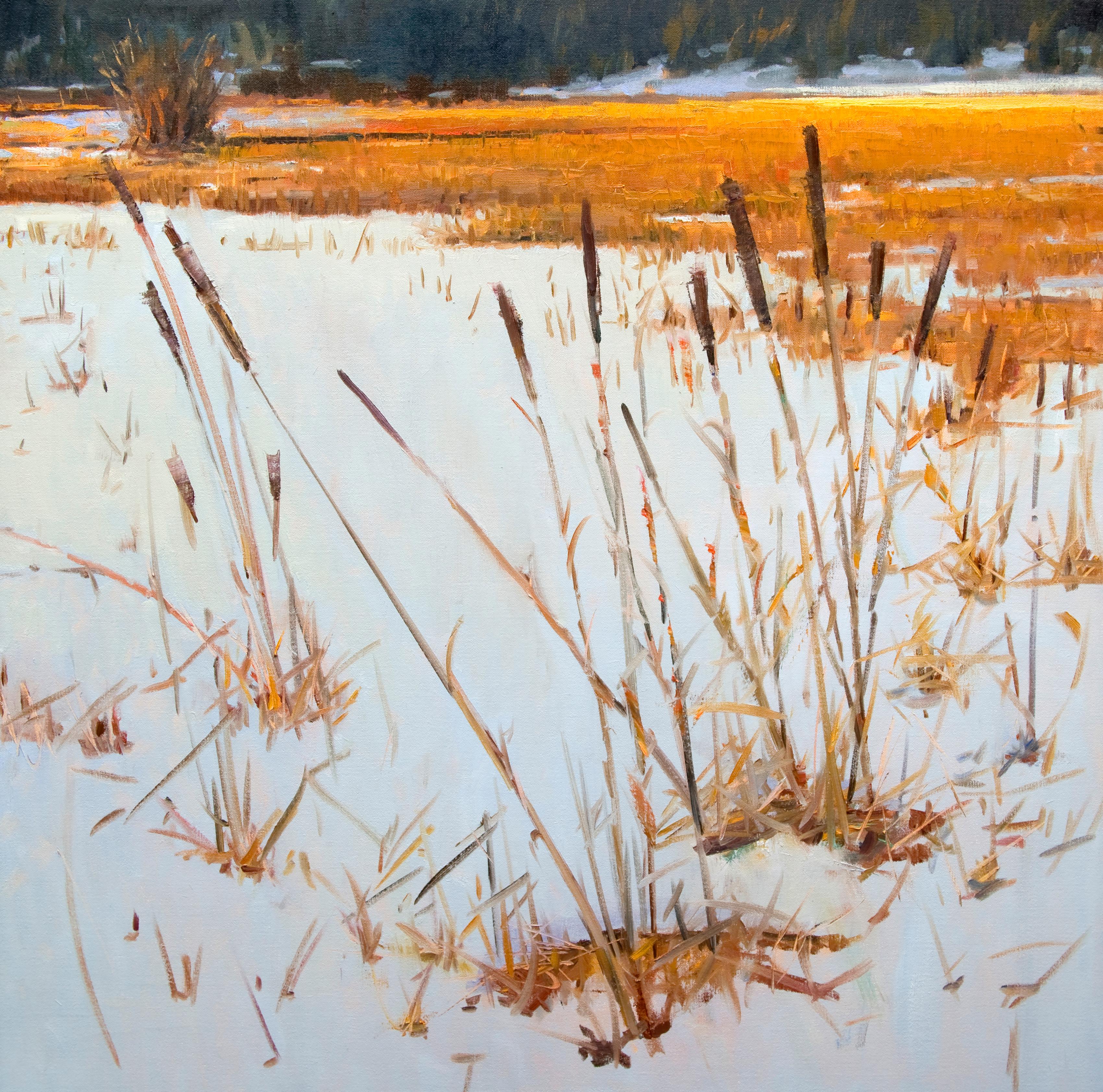 Peter Campbell Landscape Painting - Winter Grasses (snow, wetlands, golden hues)