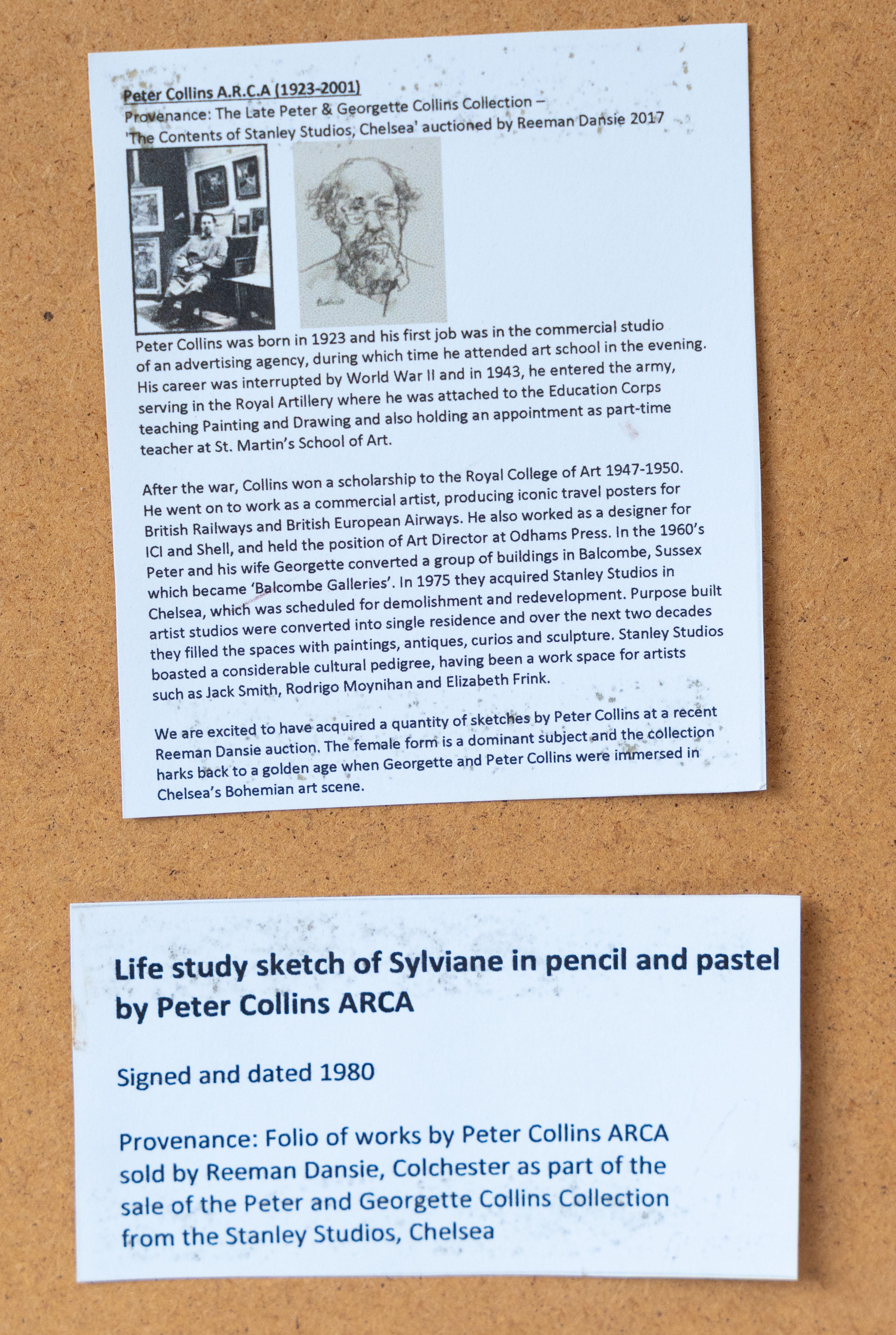 Estudio de vida de Sylviane - Painting de Peter Collins ARCA