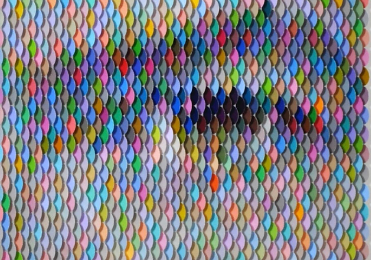 Técnica mixta (muestras de pintura casera) 

32 x 16