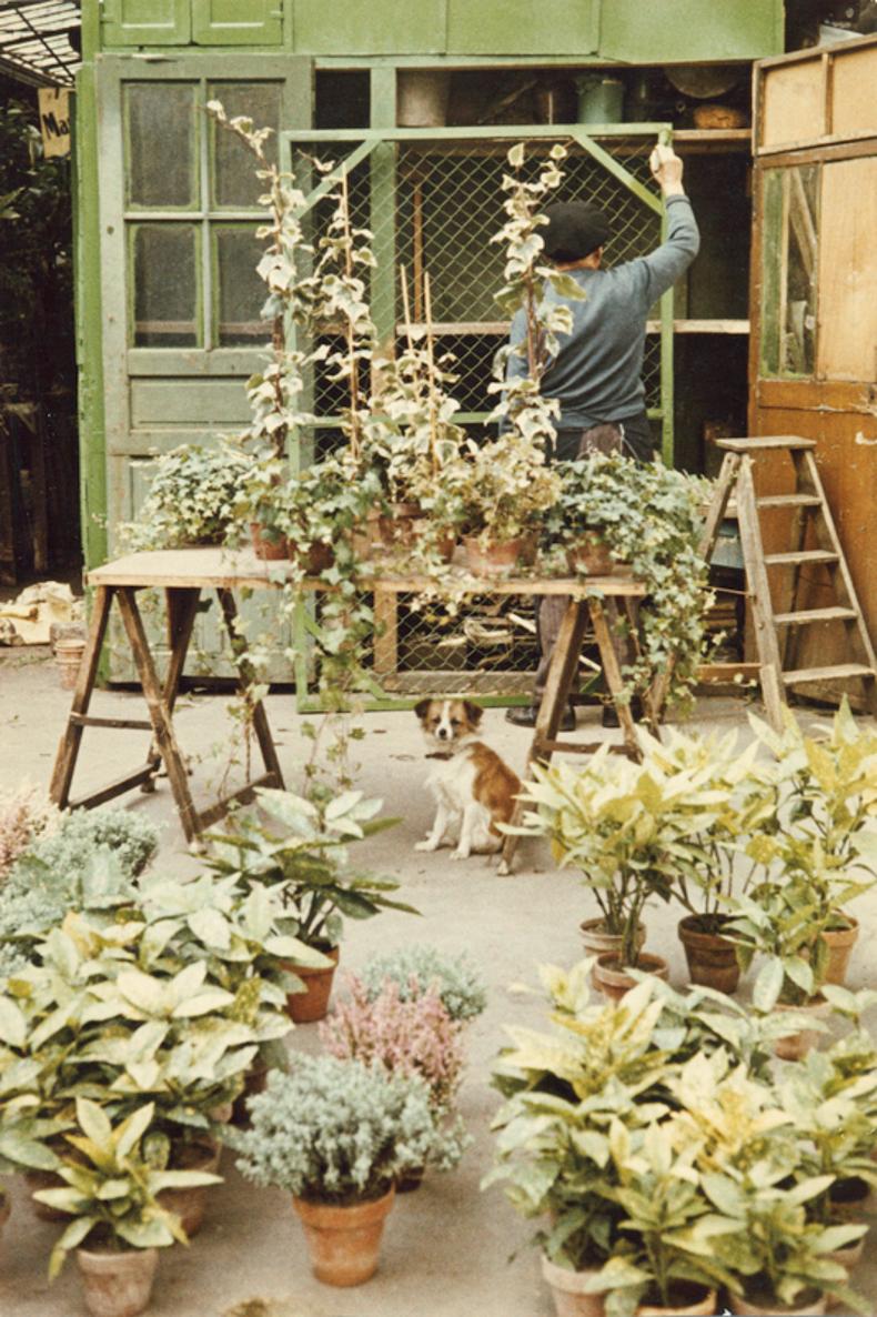 Pariser Blumenmarkt aus der Pariser Farbserie 1956-61 von Peter Cornelius