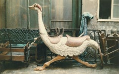 Paris Ostrich from the Paris In Color Series 1956-61 by Peter Cornelius