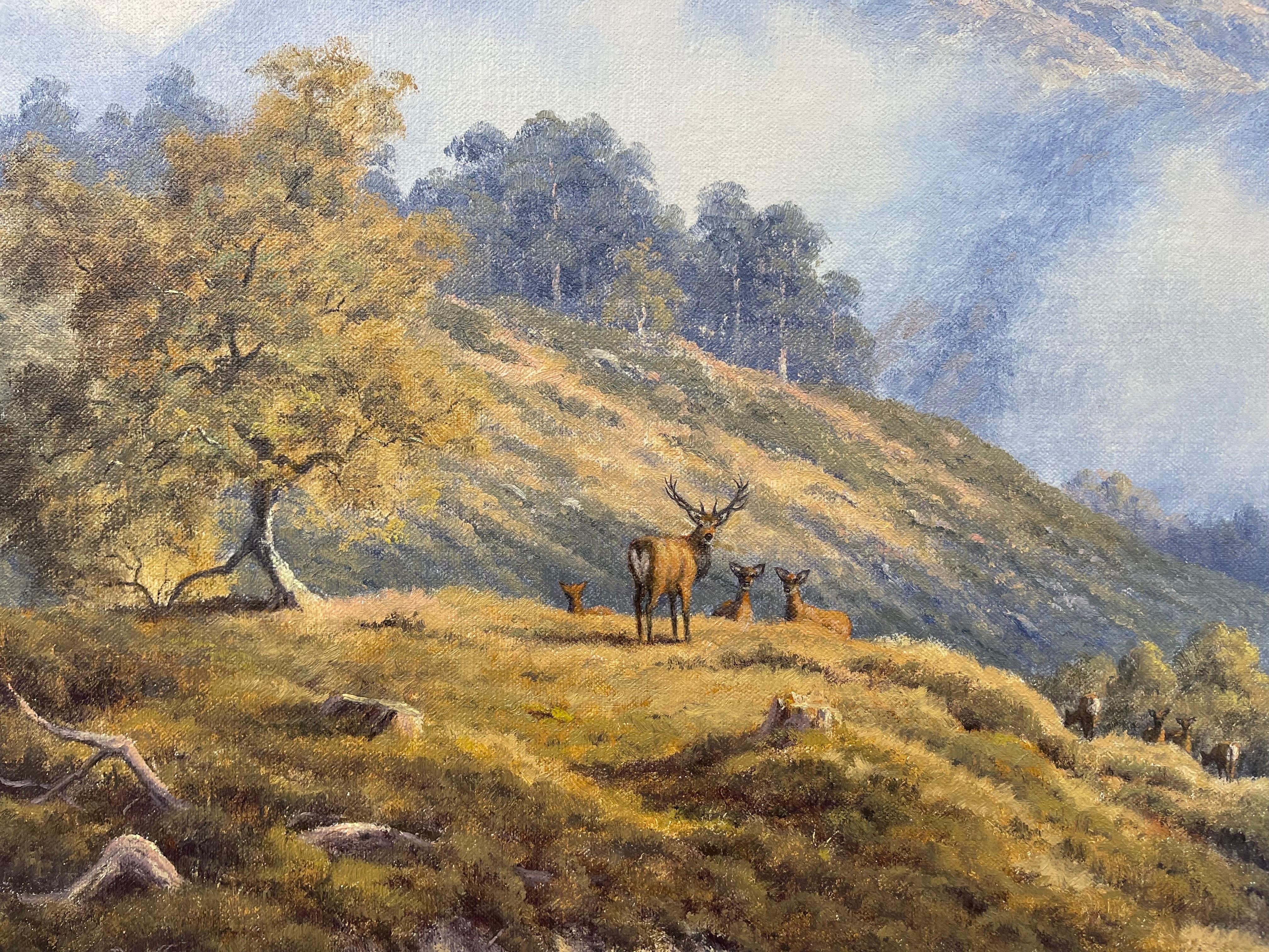 Cerf sauvage dans la brume du matin dans la forêt des Highlands écossais par un artiste The Modern Britishs en vente 2