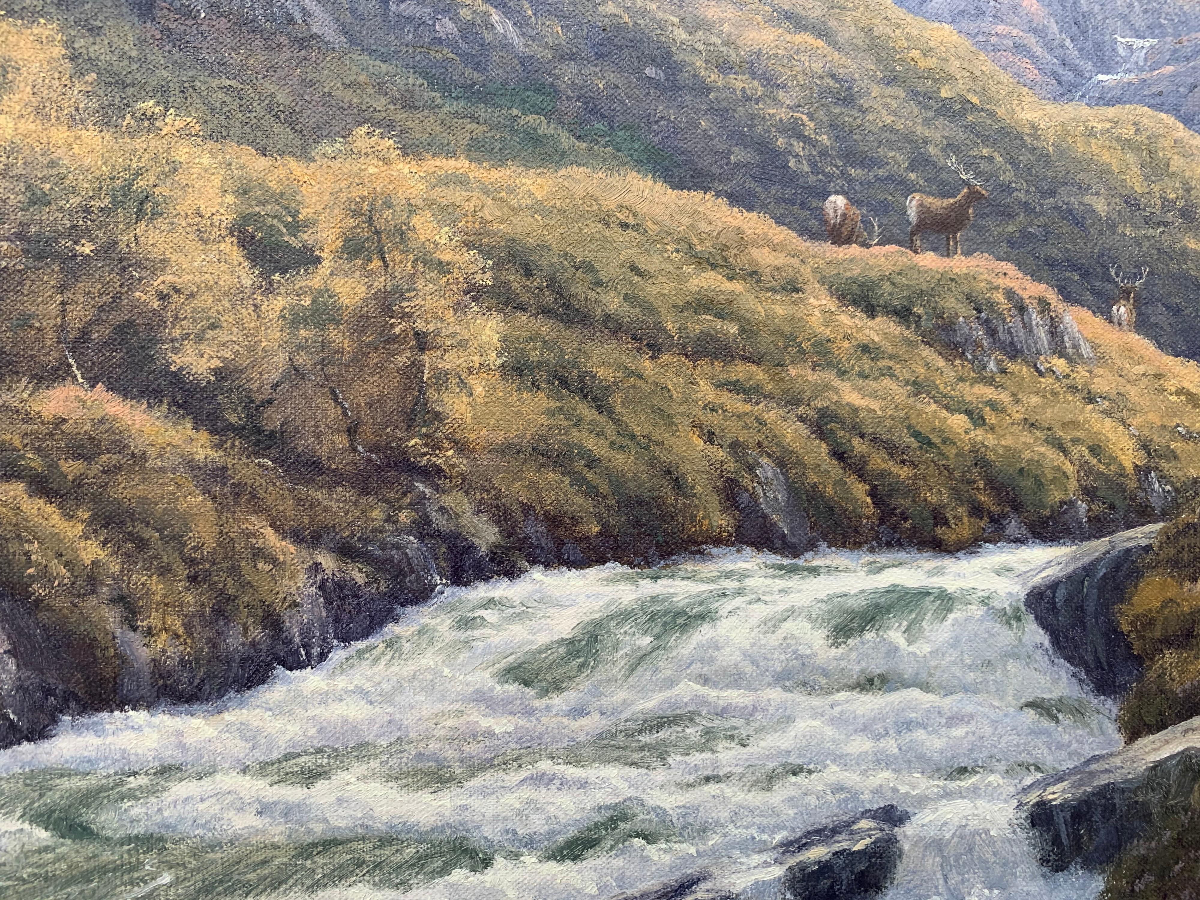 Wild Deer in Scottish Highland Forest with Mountain River by British Artist 9