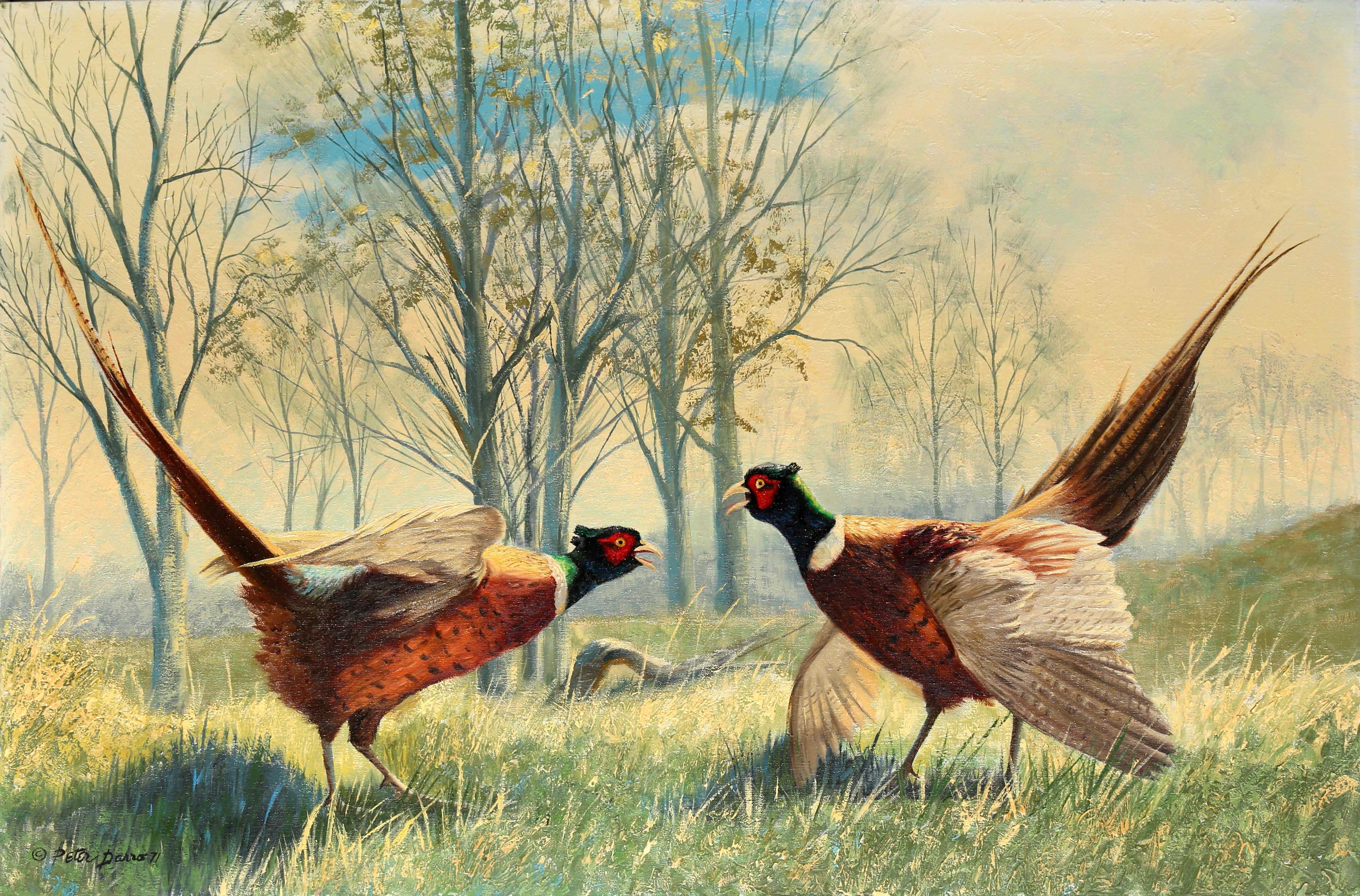 Ring-necked Pheasants, Wildlife Painting by Peter Darro