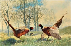 Vintage Ring-necked Pheasants, Wildlife Painting by Peter Darro