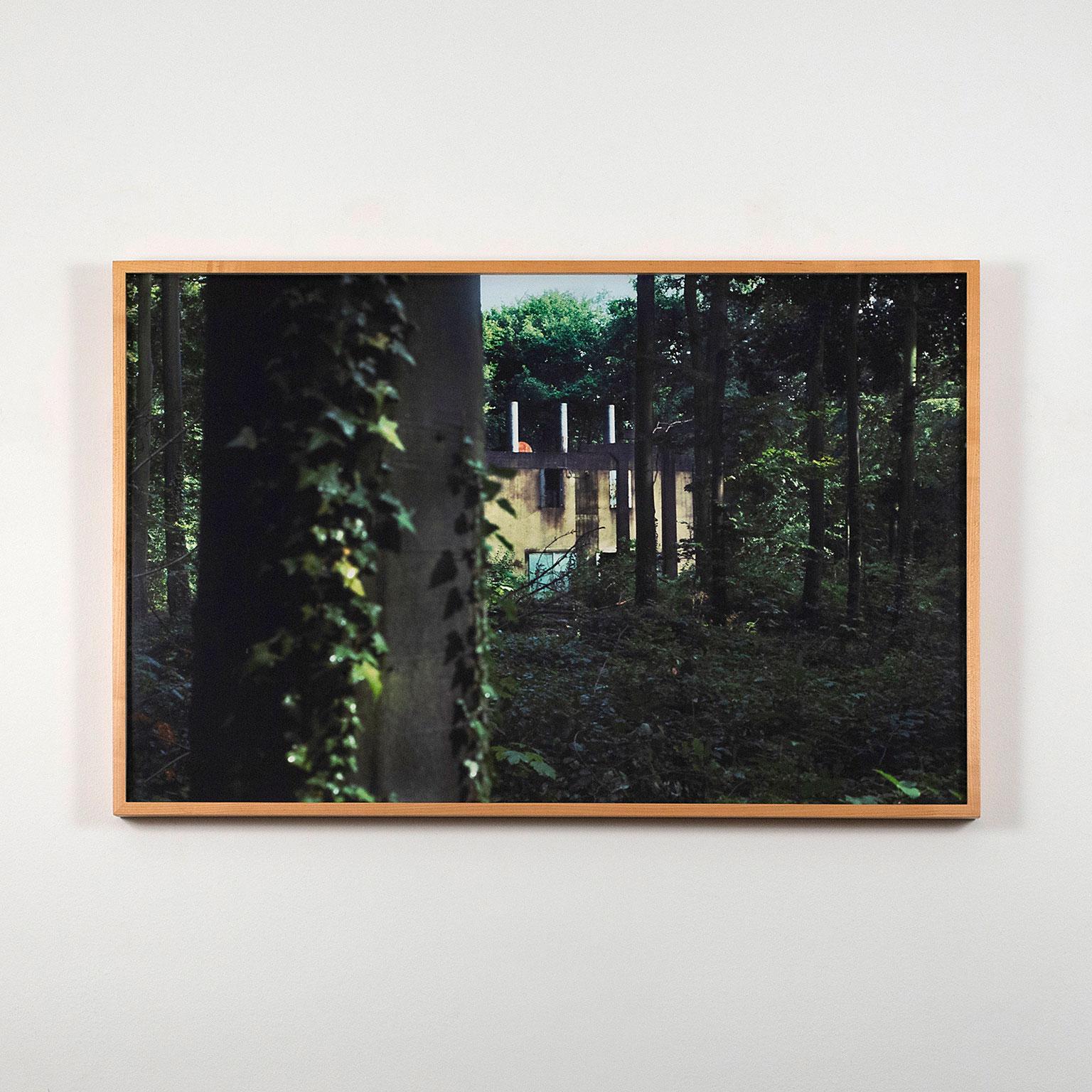 Peter Doig Landscape Photograph - Through the Woods