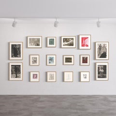 Alpine Etchings (set of 16) 2021, Contemporary, 21st Century, Magic Realism